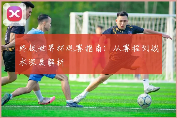 终极世界杯观赛指南：从赛程到战术深度解析