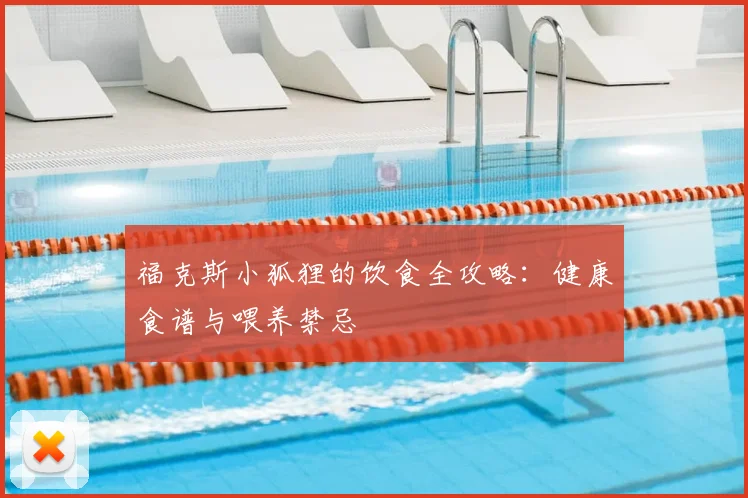 福克斯小狐狸的饮食全攻略：健康食谱与喂养禁忌