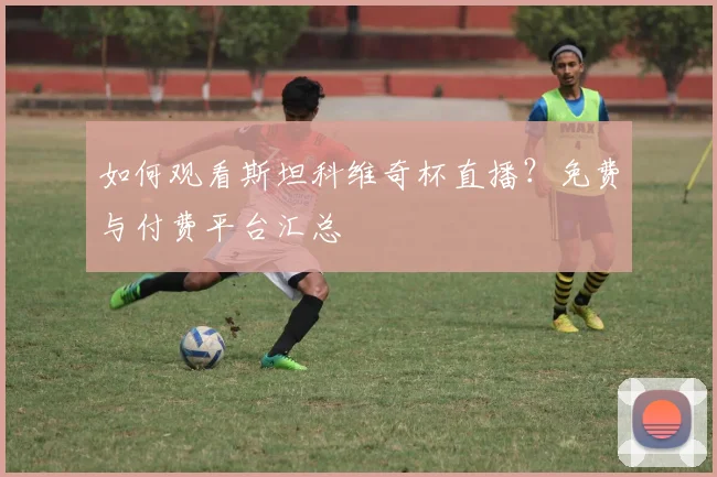 如何观看斯坦科维奇杯直播?免费与付费平台汇总