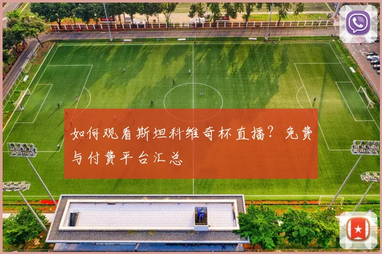 如何观看斯坦科维奇杯直播？免费与付费平台汇总