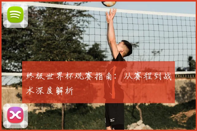 终极世界杯观赛指南：从赛程到战术深度解析