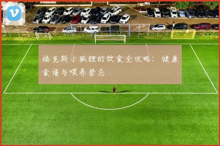 福克斯小狐狸的饮食全攻略：健康食谱与喂养禁忌